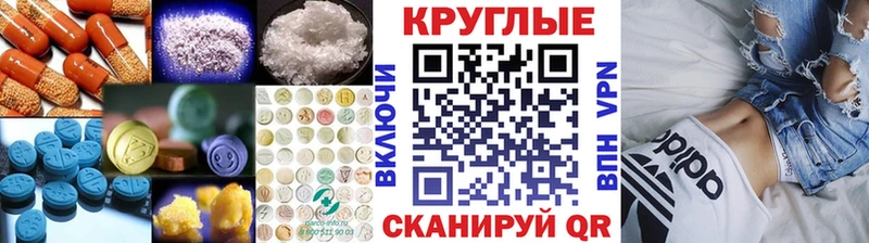 где найти Кондопога Ecstasy Philipp Plein