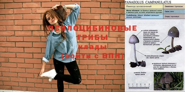мяу мяу кристалл Богданович