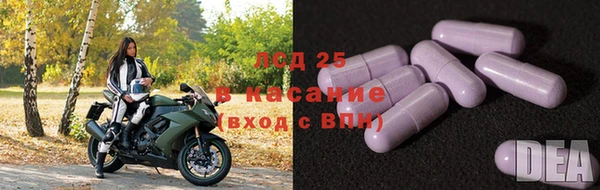 mdpv Богородицк